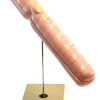 Eisco Labs 22" Model Chromosome Mounted On Base - Extra Large