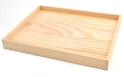 Dissection Board, 10 Inch - Softwood