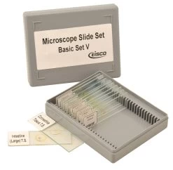 Microscope Slide Set - Basic Set No. V, Set Of 15