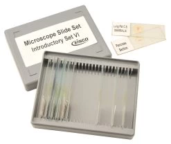 Microscope Slide Set - Introductory Set No. VI, Set Of 15