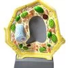 Plant Cell Model; Free Standing; Height 10.5"; Width 8.5"; Greatly Magnified