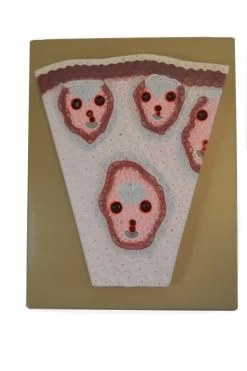 PremiumMonocot Stem Model On Base; Transverse Section; Greatly Magnified