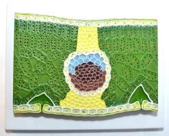 Dicot Leaf Model On Base; Greatly Magnified; 11 Inches