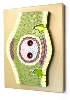 Monocot Leaf Model, Vertical Section, Enlarged 300x, Approx. 13"x10"