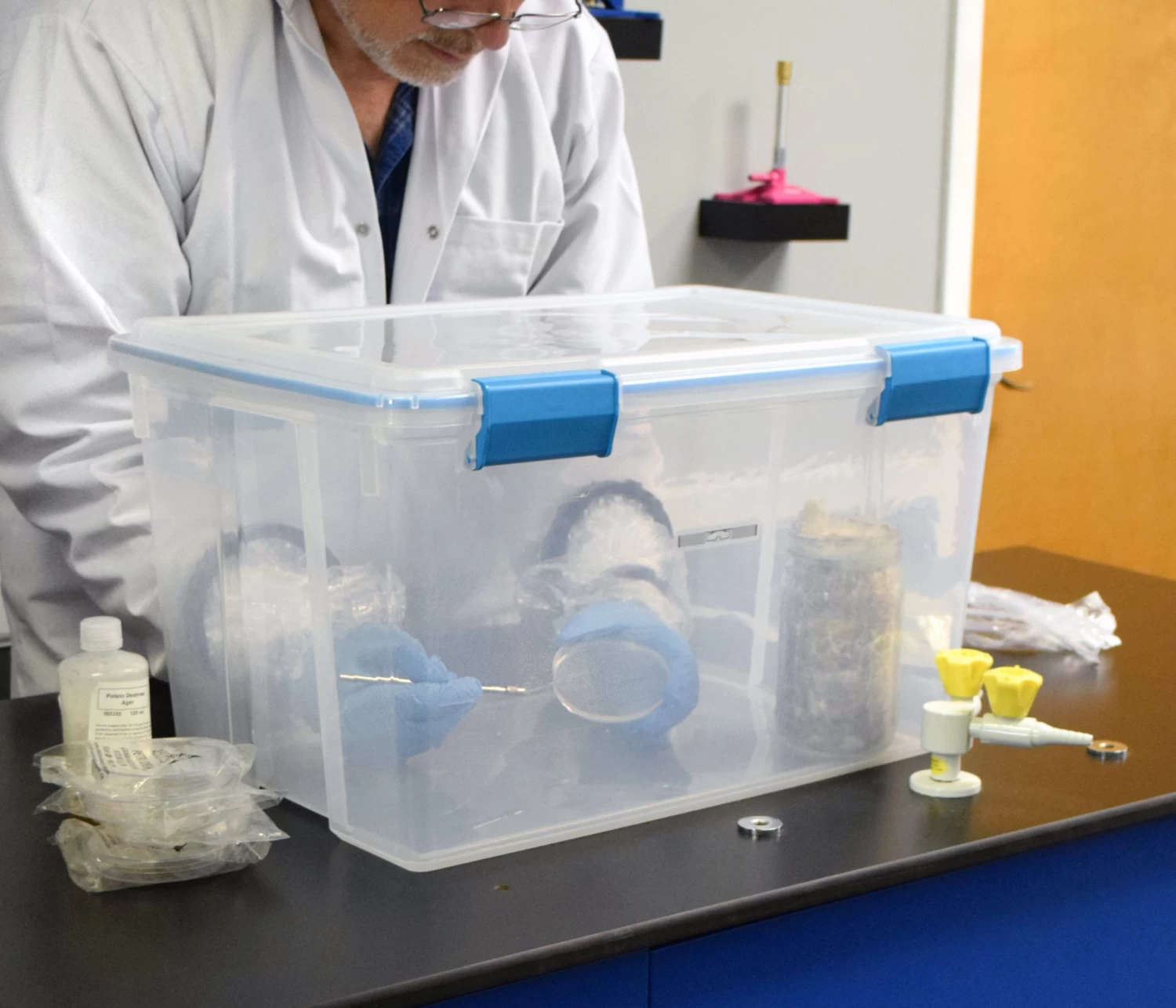 Still Air Box Mushroom Grow Kit With Culturing Supplies - 22.5"L X 16"D X 12.75"H W/ Gasketed Lid - Great Alternative to Laminar Flow Hood 5 Still Air Box Mushroom Grow Kit With Culturing Supplies - 22.5"L X 16"D X 12.75"H W/ Gasketed Lid - Great Alternative to Laminar Flow Hood - Image 5