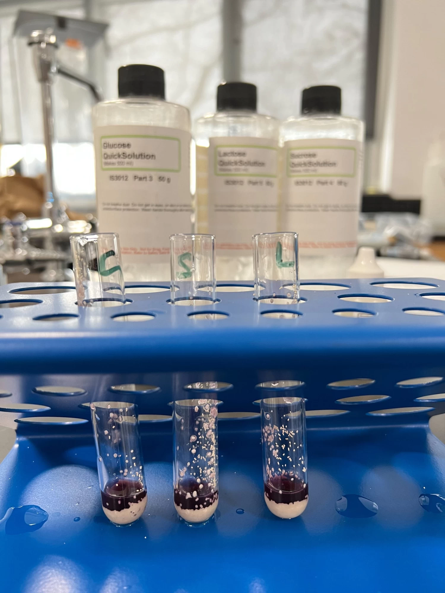 Cellular Respiration Kit 3 Cellular Respiration Kit - Image 3