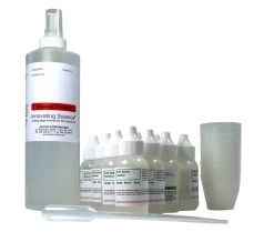 Determination Of Blood Type Using Real Blood And Saliva Kit