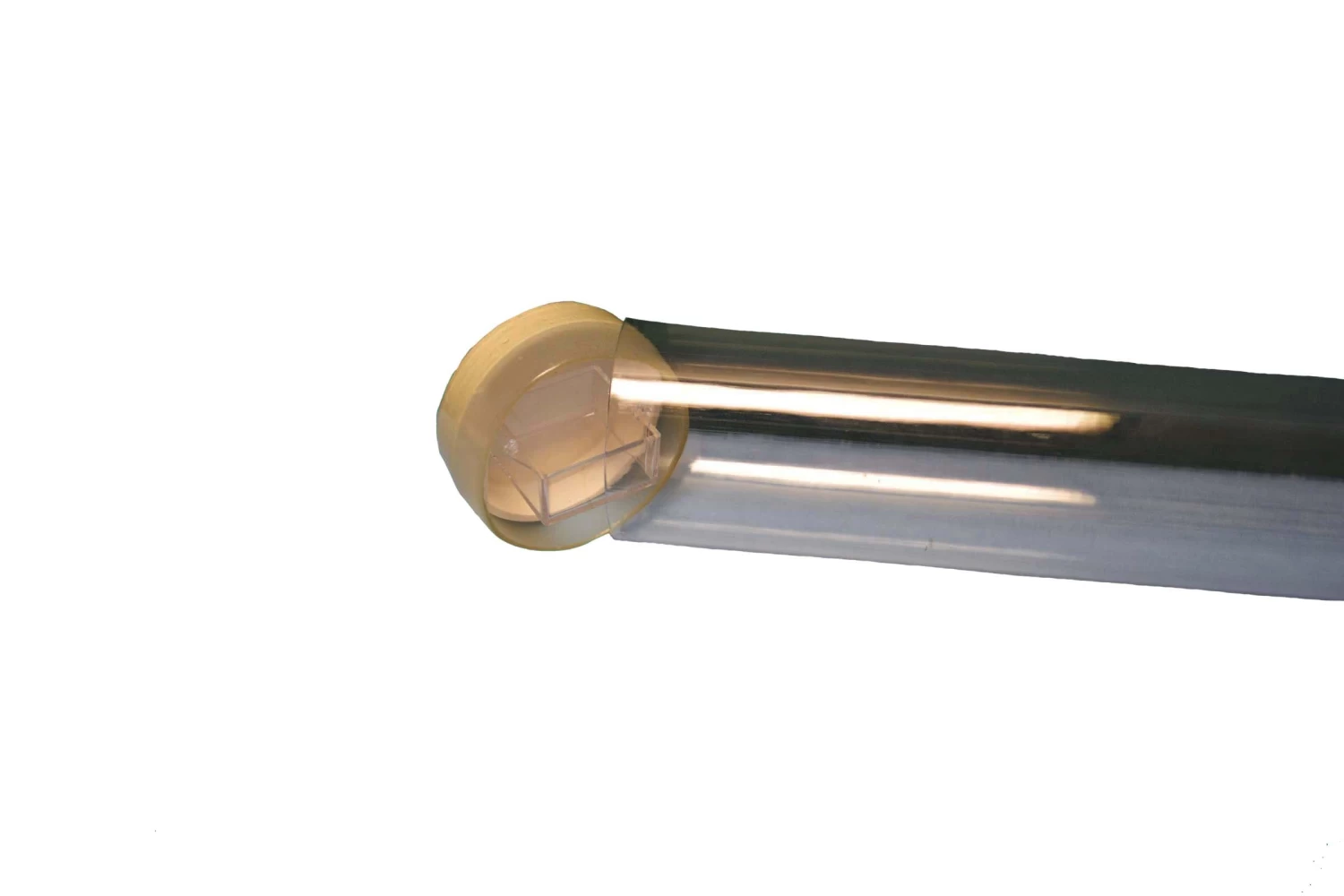 AP Biology Investigation #12 - Fruit Fly Behavior 2 AP Biology Investigation #12 - Fruit Fly Behavior - Image 2