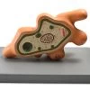 Amoeba Proteus Model, 13 Inch - Mounted - Enlarged
