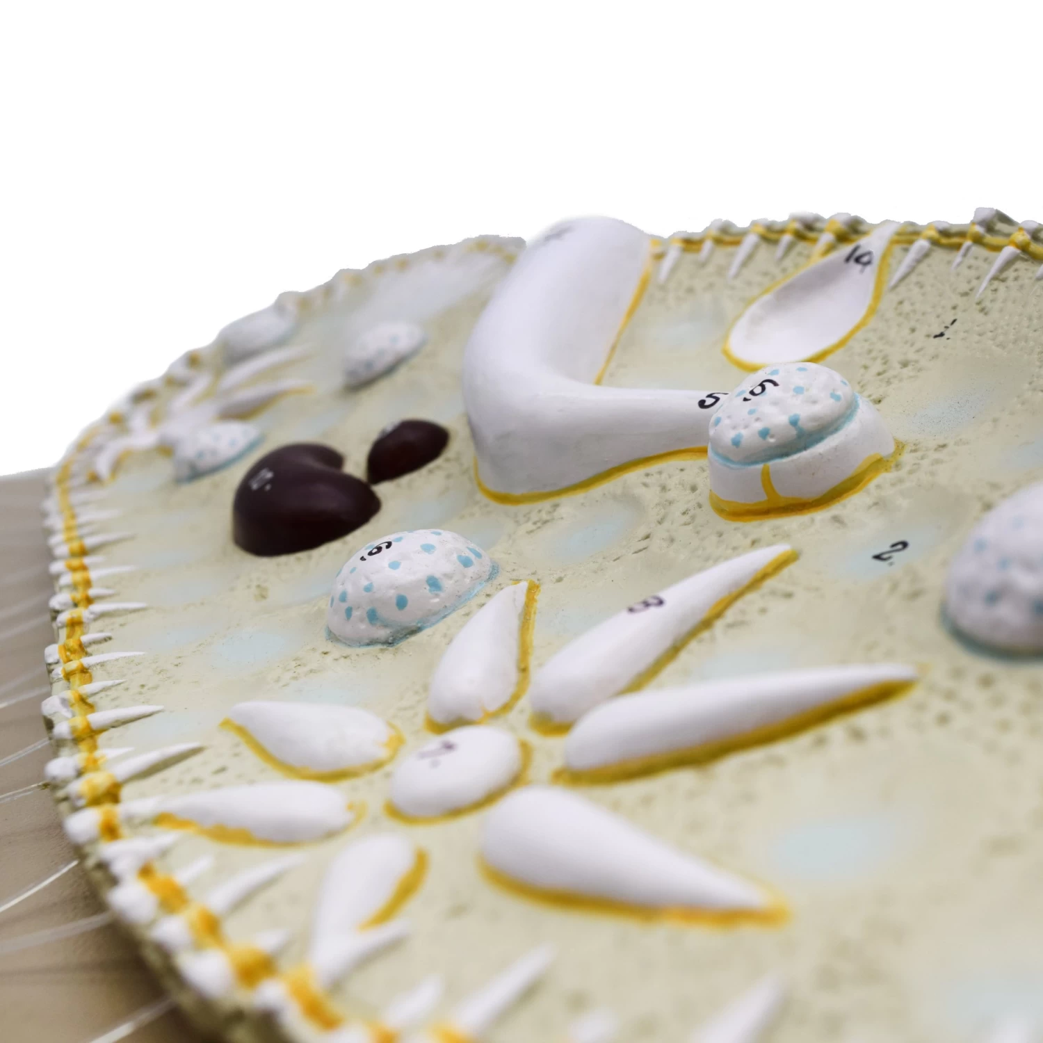 Paramecium Model, 15 Inch - Sectional View - Mounted 2 Paramecium Model, 15 Inch - Sectional View - Mounted - Image 2