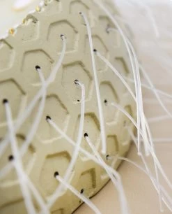 Paramecium Model, 15 Inch - Sectional View - Mounted 9 Paramecium Model, 15 Inch - Sectional View - Mounted -Laboratory Instrument Store ZM0016A 3