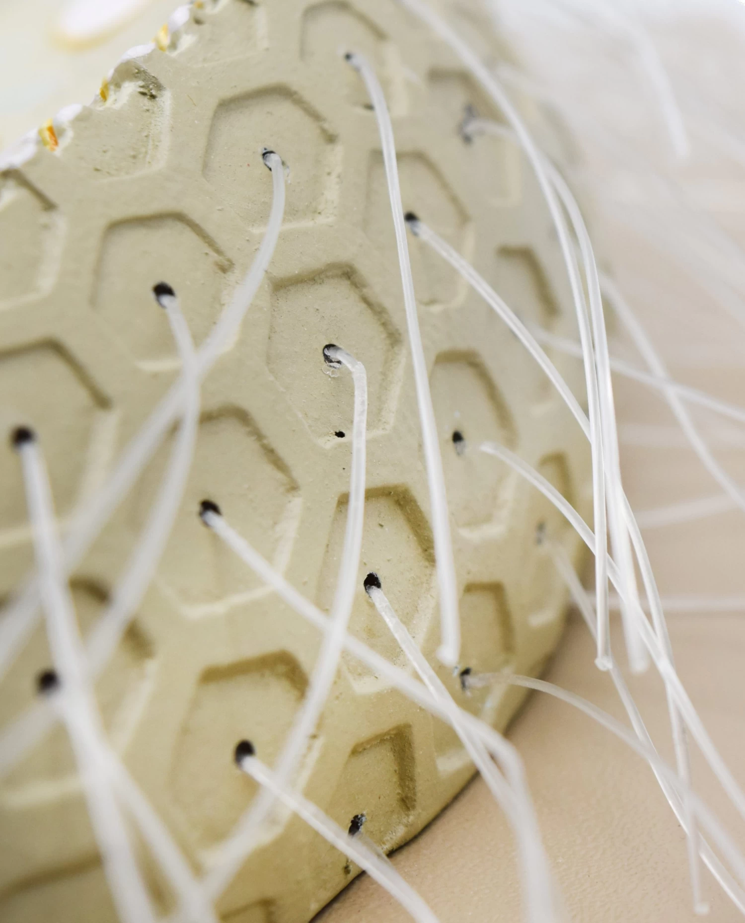 Paramecium Model, 15 Inch - Sectional View - Mounted 3 Paramecium Model, 15 Inch - Sectional View - Mounted - Image 3