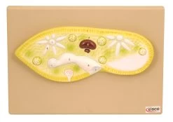 Paramecium/Amoeba Model, 11 Inch - Mounted - Enlarged
