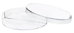 25PK Petri Dishes - 90 X 15mm - Two Compartments - Polystyrene