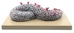 Ebola Virus Model, Three Dimensional, Sectional View, With Hand Painted Details, 100,000x Magnified - Mounted On Base, 16"x12"x1" - 10 Ebola Virus Model, Three Dimensional, Sectional View, With Hand Painted Details, 100,000x Magnified - Mounted On Base, 16"x12"x1" - -Laboratory Instrument Store am6cumucchgw9xzsjhns