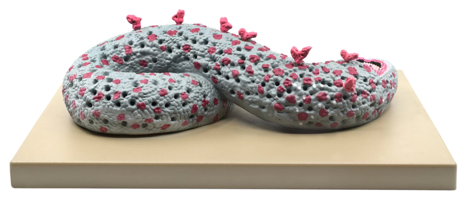 Ebola Virus Model, Three Dimensional, Sectional View, With Hand Painted Details, 100,000x Magnified - Mounted On Base, 16"x12"x1" - 5 Ebola Virus Model, Three Dimensional, Sectional View, With Hand Painted Details, 100,000x Magnified - Mounted On Base, 16"x12"x1" - - Image 5