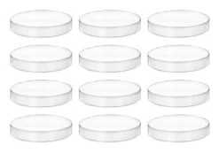 12PK Petri Dishes, 6" X 0.75" (153 X 20mm) - With Lid - Polypropylene Plastic