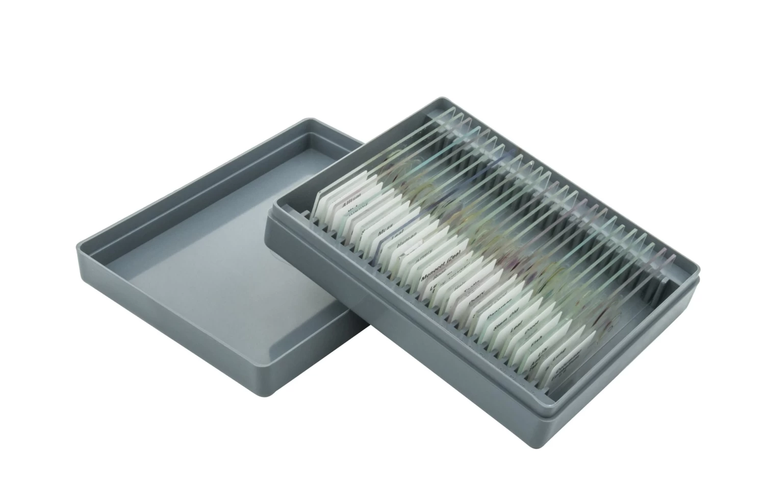 Microscope Slide Set - Basic, Set Of 25 3 Microscope Slide Set - Basic, Set Of 25 - Image 3