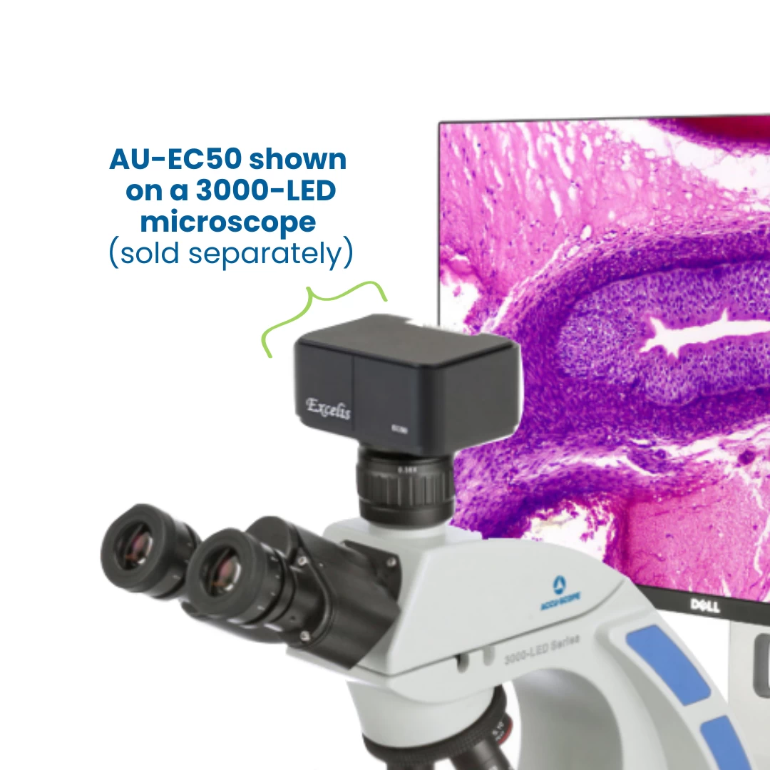 Microscope Camera, Excelis EC50 - 5 MP Image & 29 FPS Video Capture - USB 2.0 Output 4 Microscope Camera, Excelis EC50 - 5 MP Image & 29 FPS Video Capture - USB 2.0 Output - Image 4