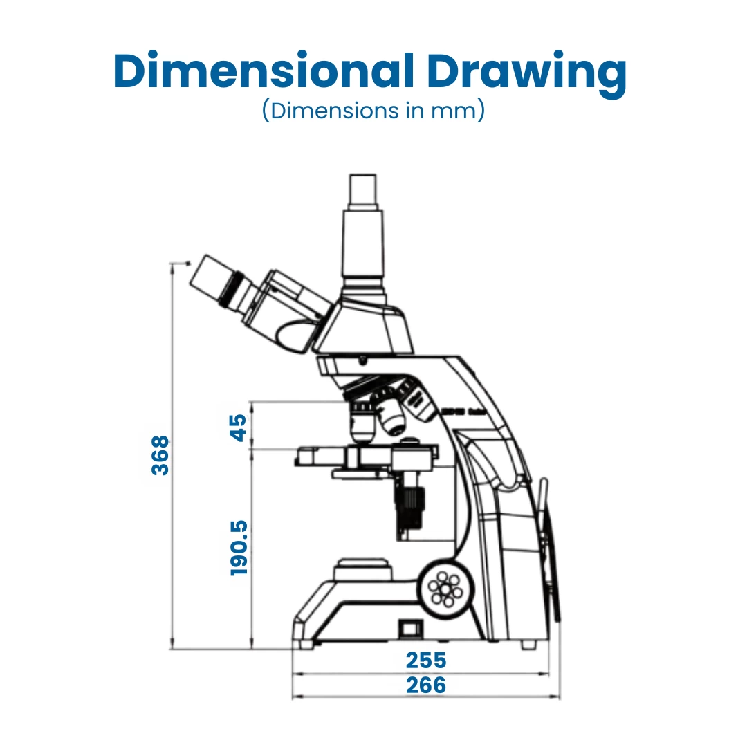 Microscope EXC-123 - Trinocular Head, 40-1000X Magnification, Achromat Objectives, Mechanical Stage, Iris Diaphragm 4 Microscope EXC-123 - Trinocular Head, 40-1000X Magnification, Achromat Objectives, Mechanical Stage, Iris Diaphragm - Image 4