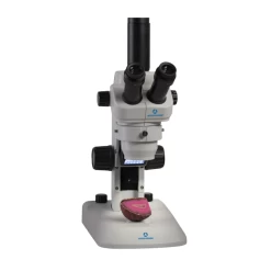 Stereo Microscope 3079-LED - Trinocular Head, 8-35X Zoom Magnification