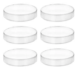 6PK Petri Dishes, 3.75" X 0.5" (95 X 13mm) - With Lid - Polypropylene Plastic