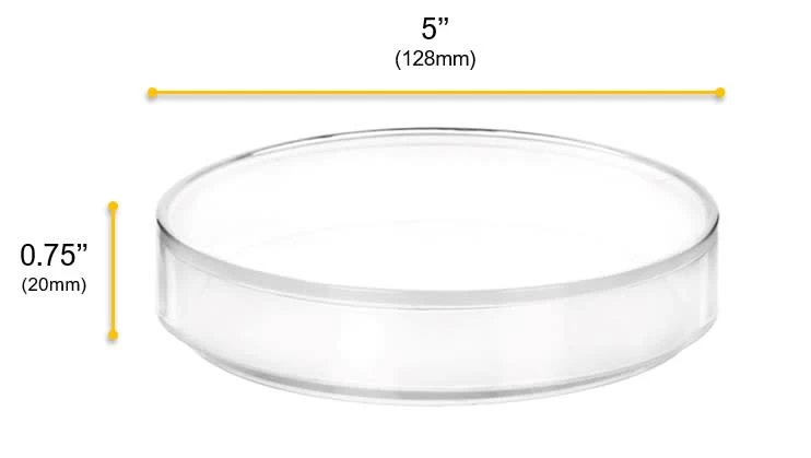 12PK Petri Dishes, 5" X 0.75" (128 X 20mm) - With Lid - Polypropylene Plastic 4 12PK Petri Dishes, 5" X 0.75" (128 X 20mm) - With Lid - Polypropylene Plastic - Image 4