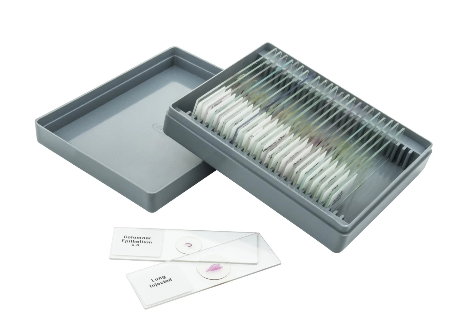 Microscope Slide Set - Basic, Set Of 25 4 Microscope Slide Set - Basic, Set Of 25 - Image 4