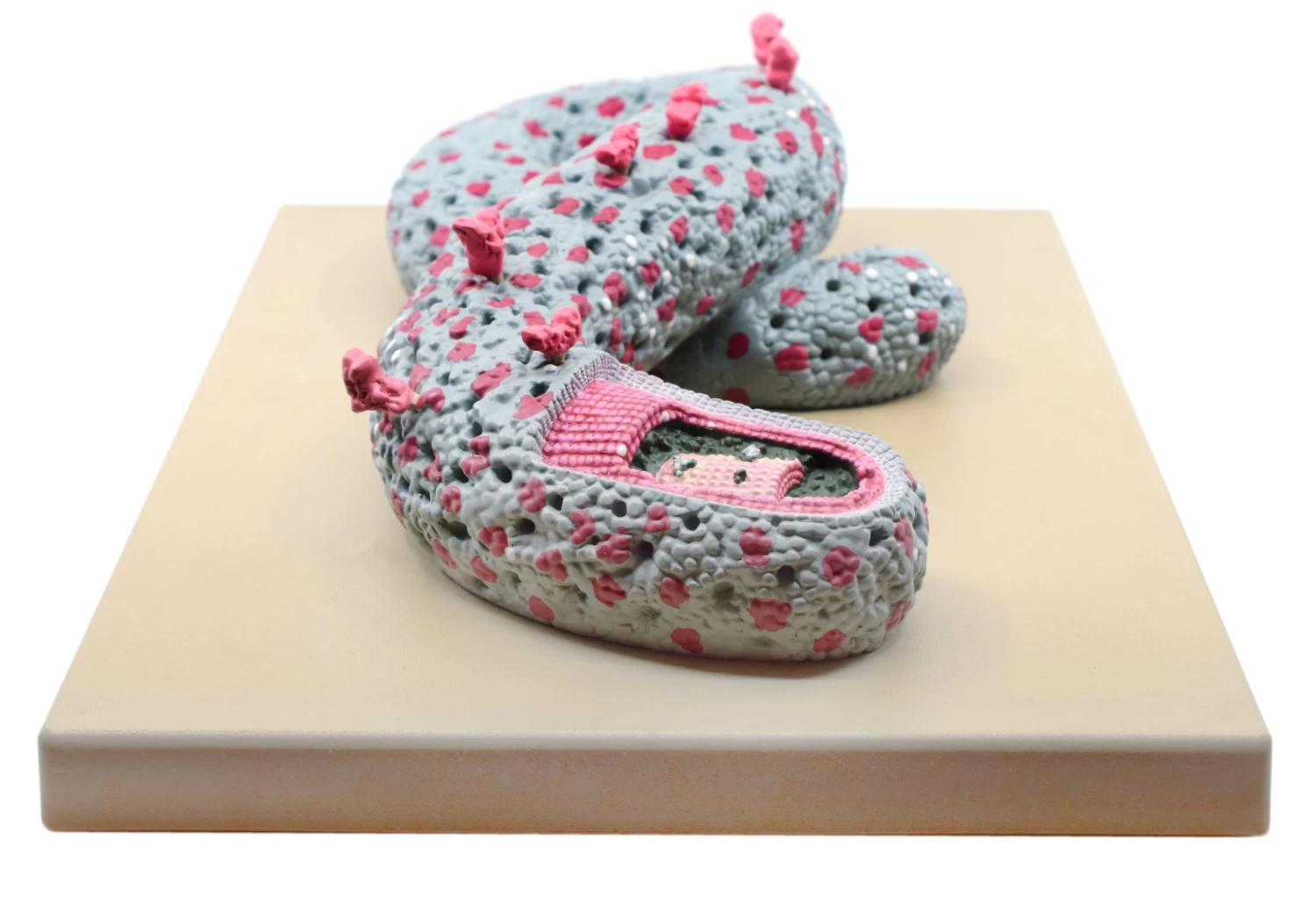 Ebola Virus Model, Three Dimensional, Sectional View, With Hand Painted Details, 100,000x Magnified - Mounted On Base, 16"x12"x1" - 4 Ebola Virus Model, Three Dimensional, Sectional View, With Hand Painted Details, 100,000x Magnified - Mounted On Base, 16"x12"x1" - - Image 4