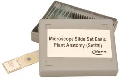 Plant Anatomy Microscope Slide Set - 20 Slides In Plastic Storage Box