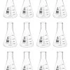 12PK Erlenmeyer Flasks, 250mL - Narrow Neck - Borosilicate Glass