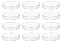 12PK Petri Dishes, 5" X 0.75" (128 X 20mm) - With Lid - Polypropylene Plastic