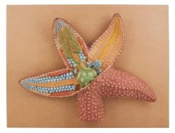 Starfish Model, 18 Inch - Mounted
