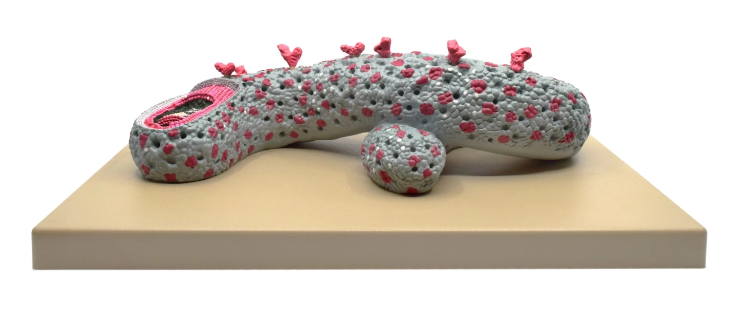 Ebola Virus Model, Three Dimensional, Sectional View, With Hand Painted Details, 100,000x Magnified - Mounted On Base, 16"x12"x1" - 3 Ebola Virus Model, Three Dimensional, Sectional View, With Hand Painted Details, 100,000x Magnified - Mounted On Base, 16"x12"x1" - - Image 3