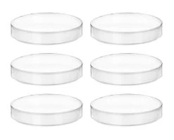 6PK Petri Dishes, 6" X 0.75" (153 X 20mm) - With Lid - Polypropylene Plastic