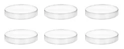 6PK Petri Dishes, 5" X 0.75" (128 X 20mm) - With Lid - Polypropylene Plastic