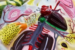 Frog Dissection Model, 17 Inch - Mounted - Ventral Cut -Laboratory Instrument Store n8exoy2xlcllggd6kfzv