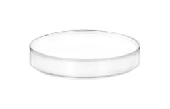 6PK Petri Dishes, 5" X 0.75" (128 X 20mm) - With Lid - Polypropylene Plastic 6 6PK Petri Dishes, 5" X 0.75" (128 X 20mm) - With Lid - Polypropylene Plastic -Laboratory Instrument Store nlj7ekqbshedtsgwemdp 7f91f6aa 3526 4e86 8970 d314919f4c0d