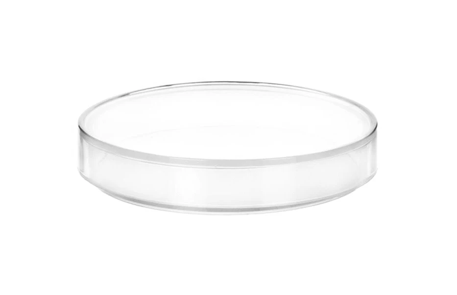 6PK Petri Dishes, 5" X 0.75" (128 X 20mm) - With Lid - Polypropylene Plastic 3 6PK Petri Dishes, 5" X 0.75" (128 X 20mm) - With Lid - Polypropylene Plastic - Image 3
