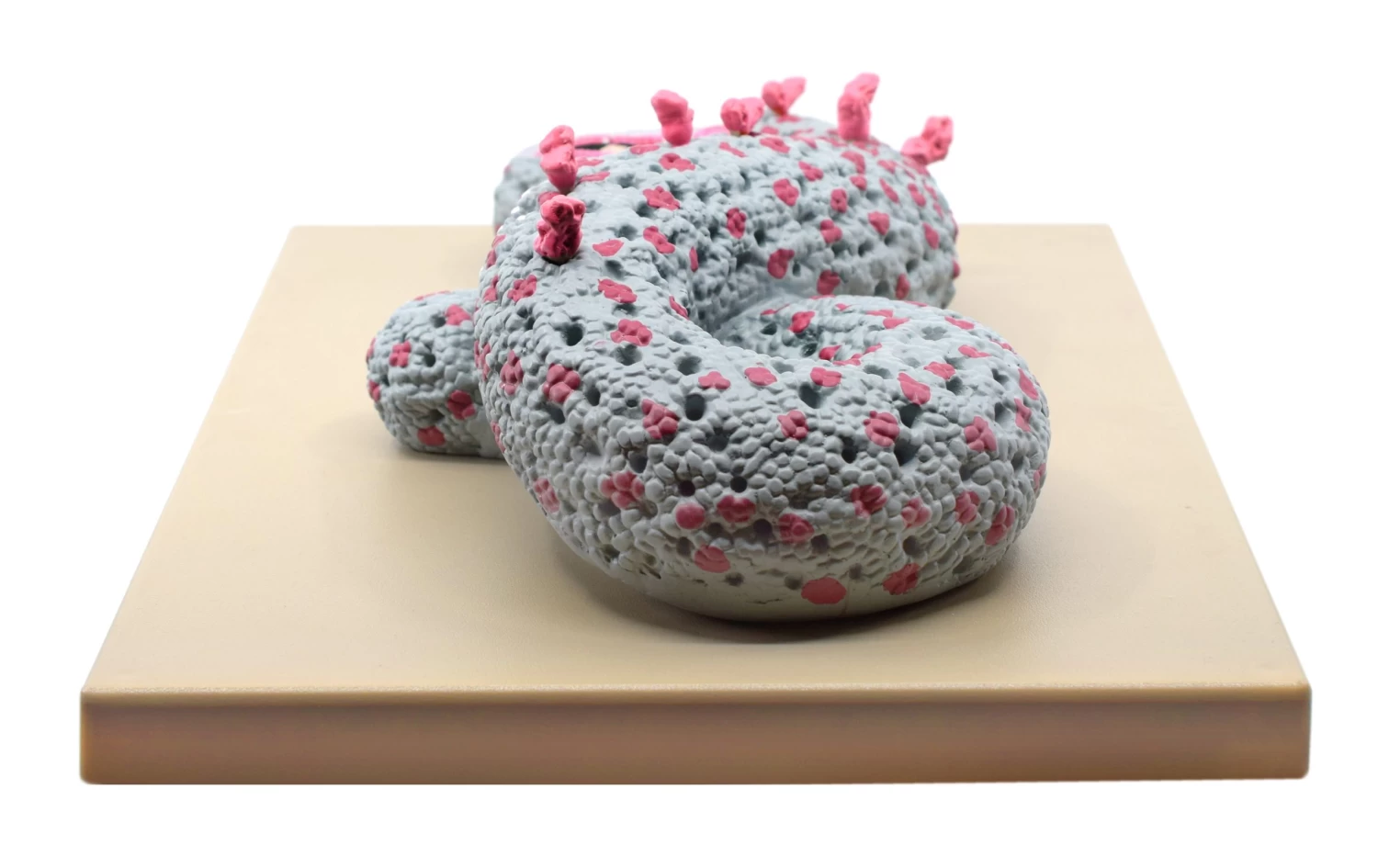 Ebola Virus Model, Three Dimensional, Sectional View, With Hand Painted Details, 100,000x Magnified - Mounted On Base, 16"x12"x1" - 6 Ebola Virus Model, Three Dimensional, Sectional View, With Hand Painted Details, 100,000x Magnified - Mounted On Base, 16"x12"x1" - - Image 6