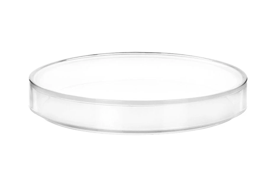 6PK Petri Dishes, 6" X 0.75" (153 X 20mm) - With Lid - Polypropylene Plastic 3 6PK Petri Dishes, 6" X 0.75" (153 X 20mm) - With Lid - Polypropylene Plastic - Image 3