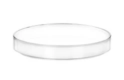 12PK Petri Dishes, 6" X 0.75" (153 X 20mm) - With Lid - Polypropylene Plastic -Laboratory Instrument Store pko0cv3s8tumlnag06hk f8820e5e 93fb 4053 b799 4d15afa4748a
