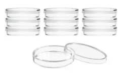10PK Disposable Petri Dish With Lid - Sterile - 90x14mm - Polystyrene - Triple Vented - Transparent