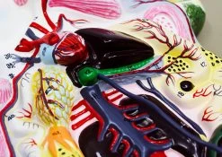 Frog Dissection Model, 17 Inch - Mounted - Ventral Cut -Laboratory Instrument Store u53nsu6wxklkz8fvwtwr