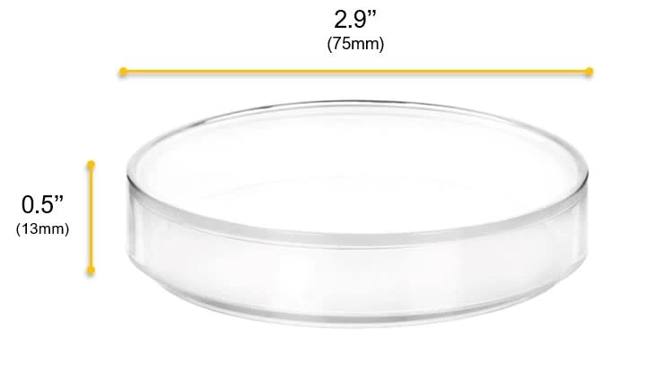 12PK Petri Dishes, 2.9" X 0.5" (75 X 13mm) - With Lid - Polypropylene Plastic 4 12PK Petri Dishes, 2.9" X 0.5" (75 X 13mm) - With Lid - Polypropylene Plastic - Image 4