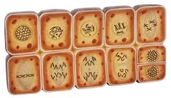 Mammal Cell Mitosis Model, 14 Inch - Features 10 Stages - Enlarged