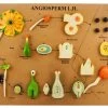 L.H Of Angiosperms Model - Three Dimensional, Longitudinal Dissection - Hand Painted Details, Magnified - Mounted On Base, 24" X 18" X 2" -