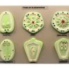 Placentation Types In Flowering Plants - 6 Models Mounted On 16"x12" Base