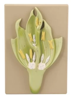Monocot Flower Model (Wheat) - Three Dimensional, Longitudinal Dissection - Hand Painted Details, Magnified - Mounted On Base, 15" X 9.5" X 2.5" -