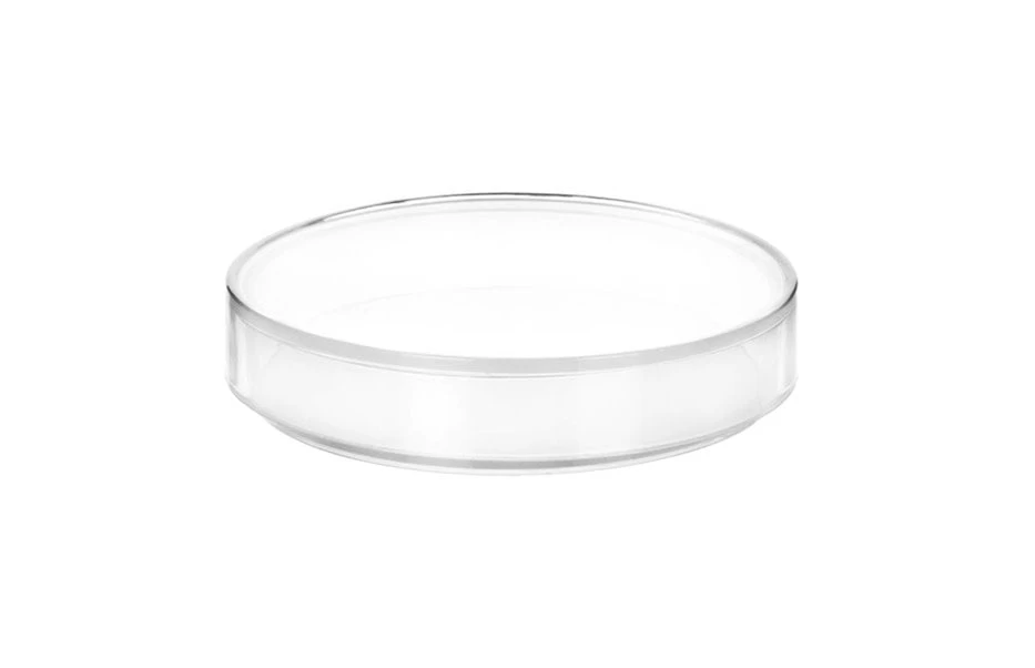 12PK Petri Dishes, 2.9" X 0.5" (75 X 13mm) - With Lid - Polypropylene Plastic 3 12PK Petri Dishes, 2.9" X 0.5" (75 X 13mm) - With Lid - Polypropylene Plastic - Image 3